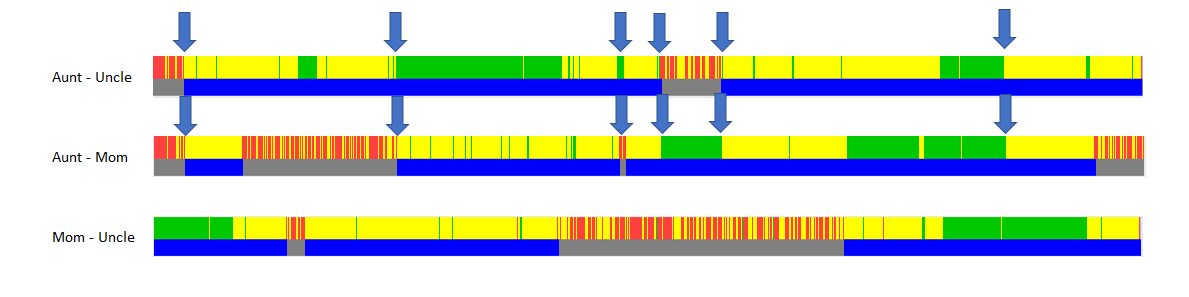 Visual Phasing of Chromosome 1 – Genetic Genealogy Girl